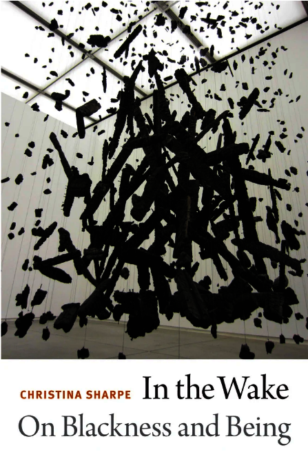 Book cover for In the Wake