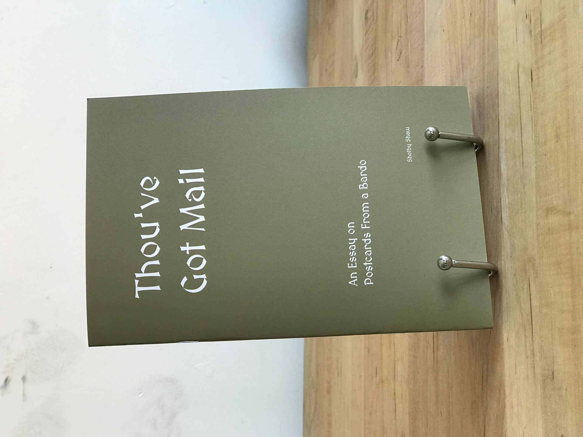 The book 'Thou've Got Mail' which is a khaki green-brown color with white font is displayed on a silver book stand atop a wooden tabletop with a white wall in the background.