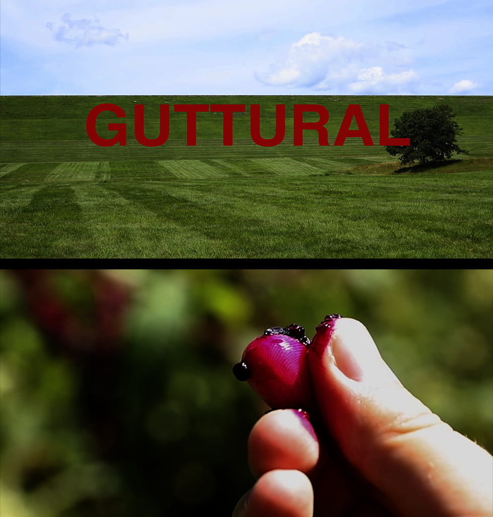 A video still of a single tree in a eerily perfect field with the text "guttural" across the image. Next to it is another video still of a red berry being crushed between two fingers. 