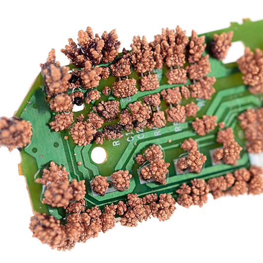 color photo of a green computer chip with clusters of brown organic forms sprouting from it