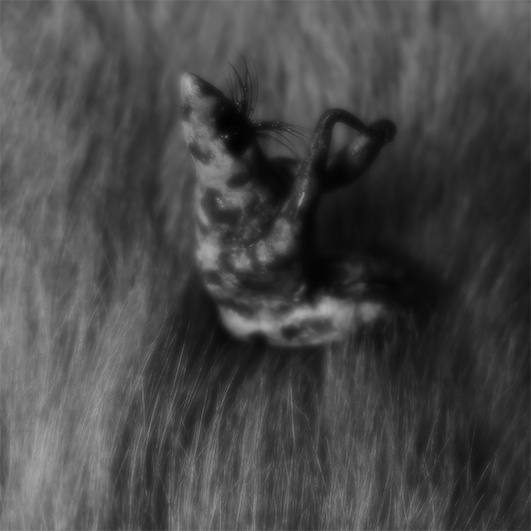 black and white soft focus photograph of an amorphous shape atop a layer of fur
