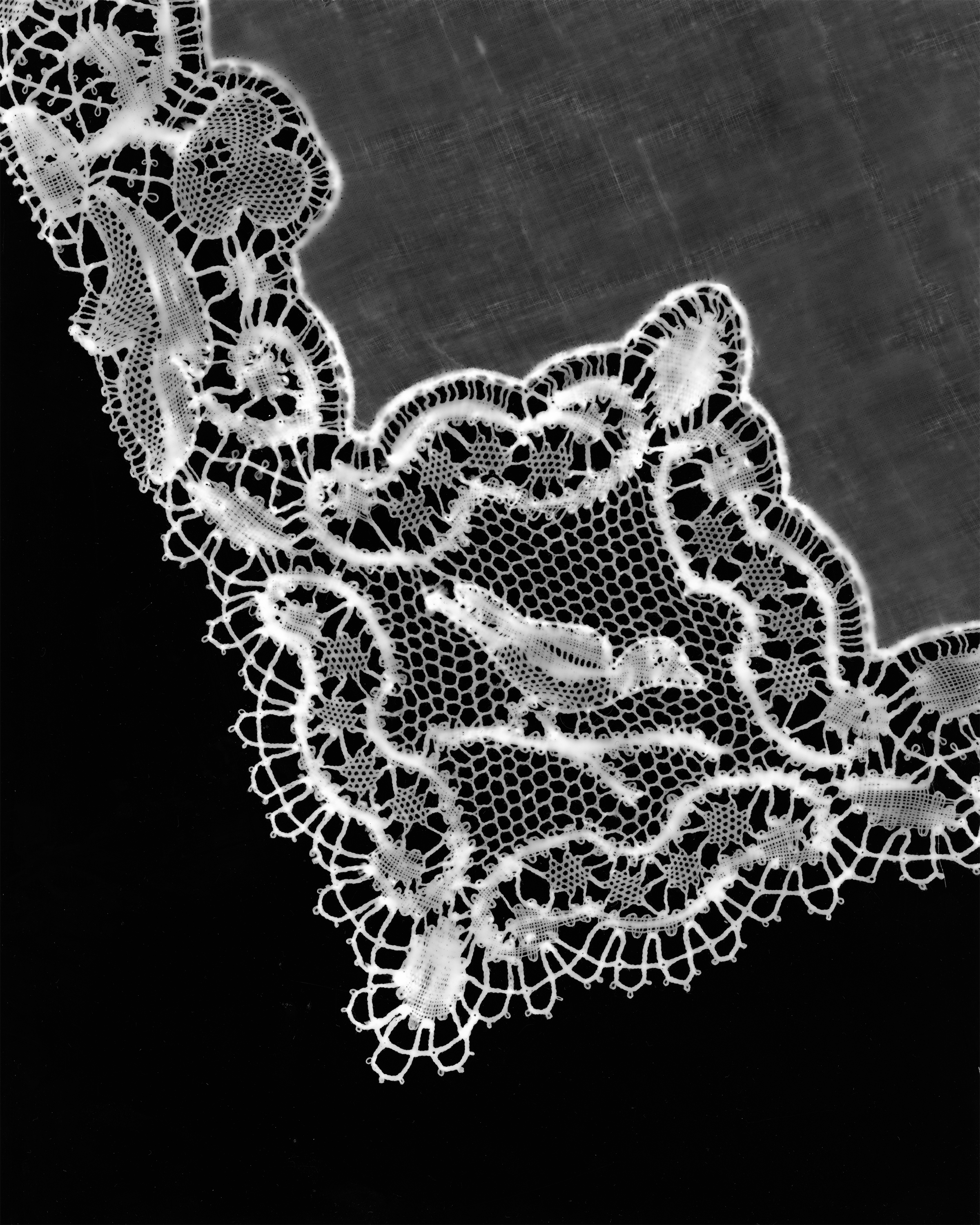 /a%20darkroom-processed%20photogram%20print.%20Antique%20lace%20with%20an%20embroidered%20bird%20sitting%20on%20a%20branch.