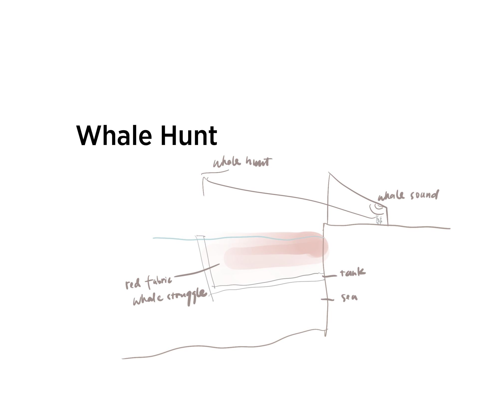 whale hunt