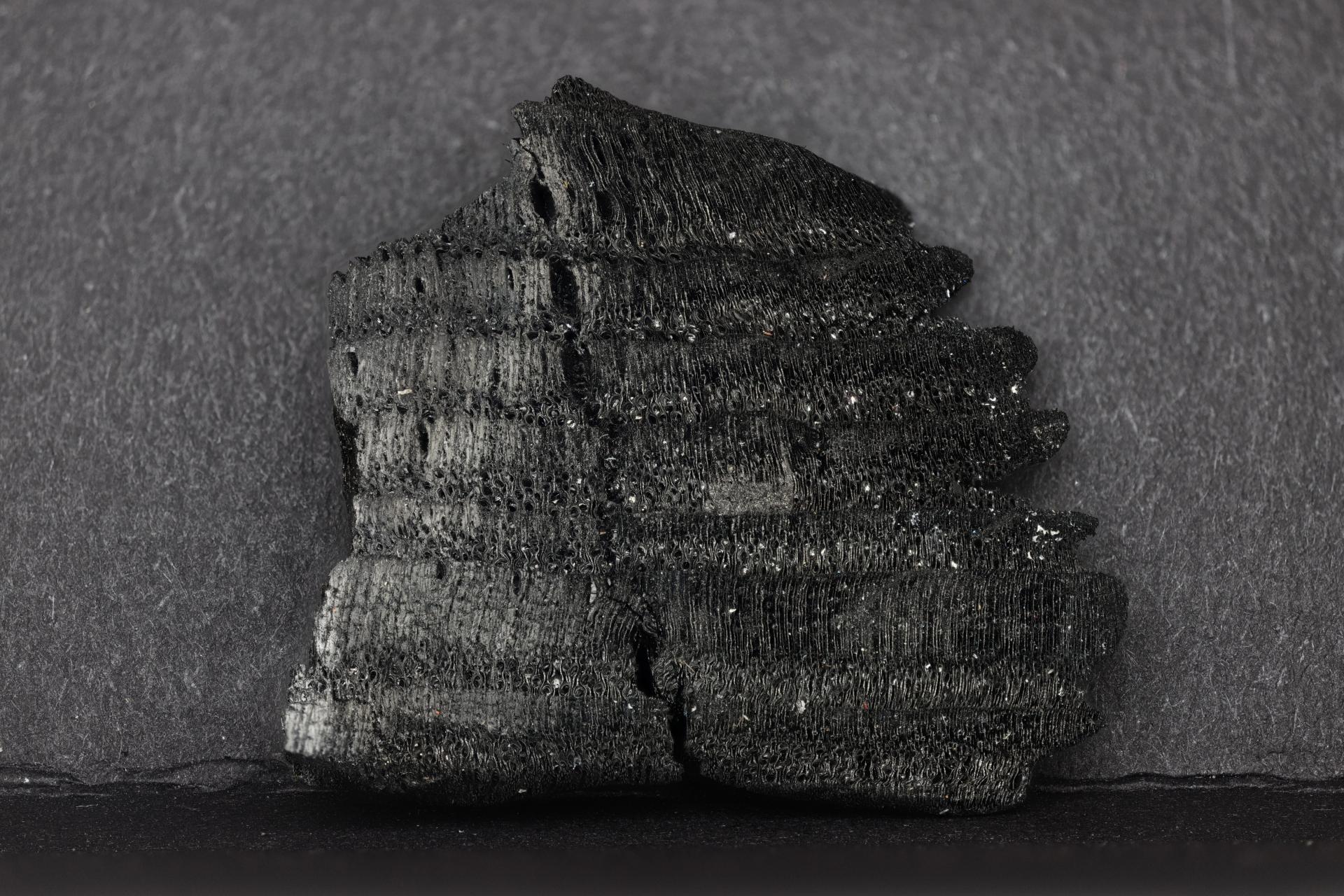 Macropod photograph of wood biochar