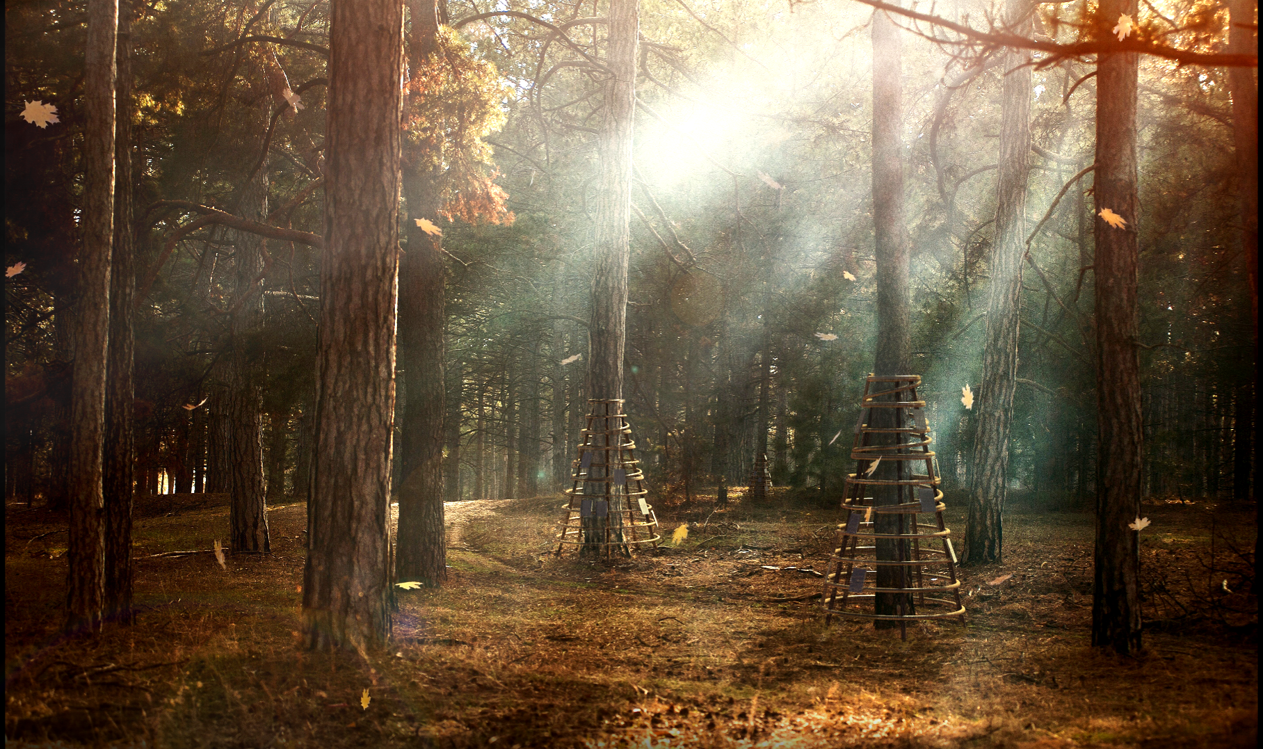 Composite Render of memorial archives in forest.