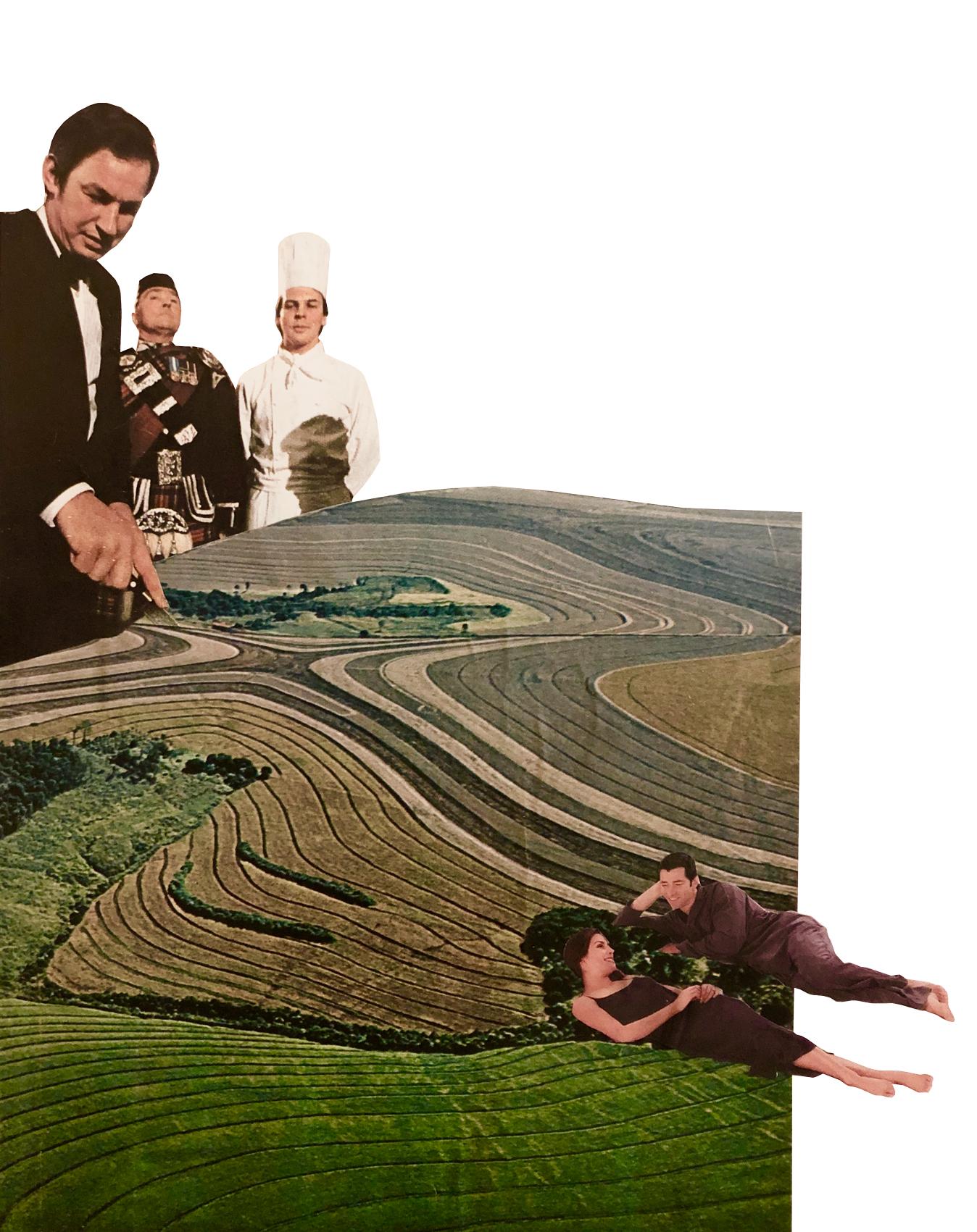 LDAR_Cornelia_Overton_Carving-up-rural-land-collage-.jpg