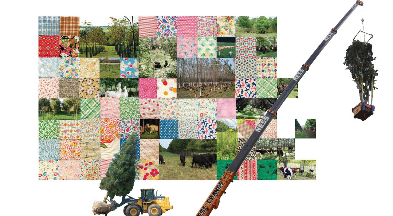 LDAR_Cornelia_Overton_LDAR_Cornelia_Overton_Agroforster's-collective-concept-collage.jpg