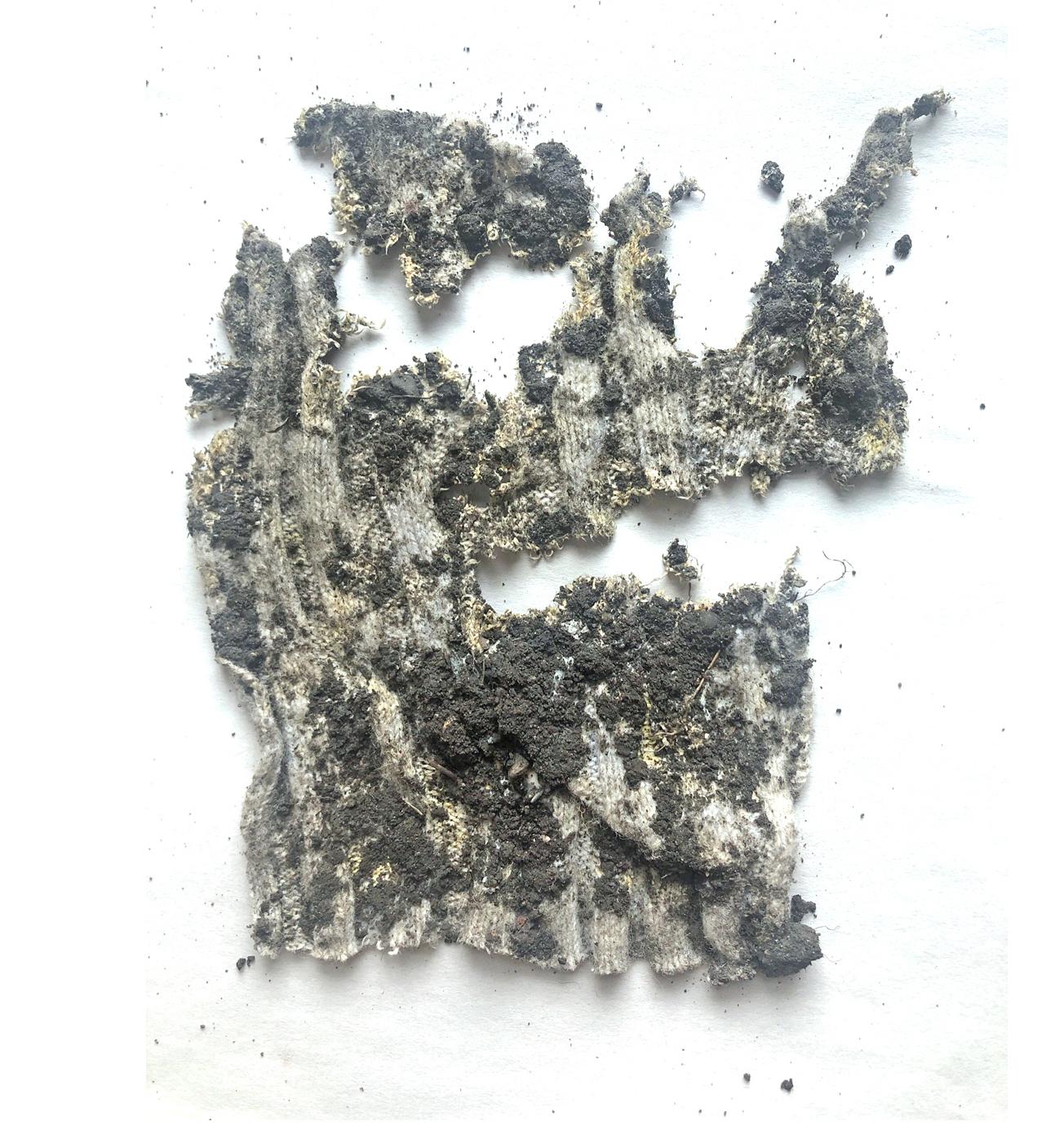 LDAR_Fengjiao_Ge_3-Fabric-biodegradability-experiment_2.jpg 