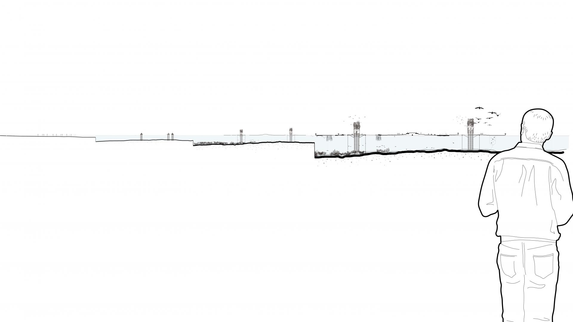 sectional view