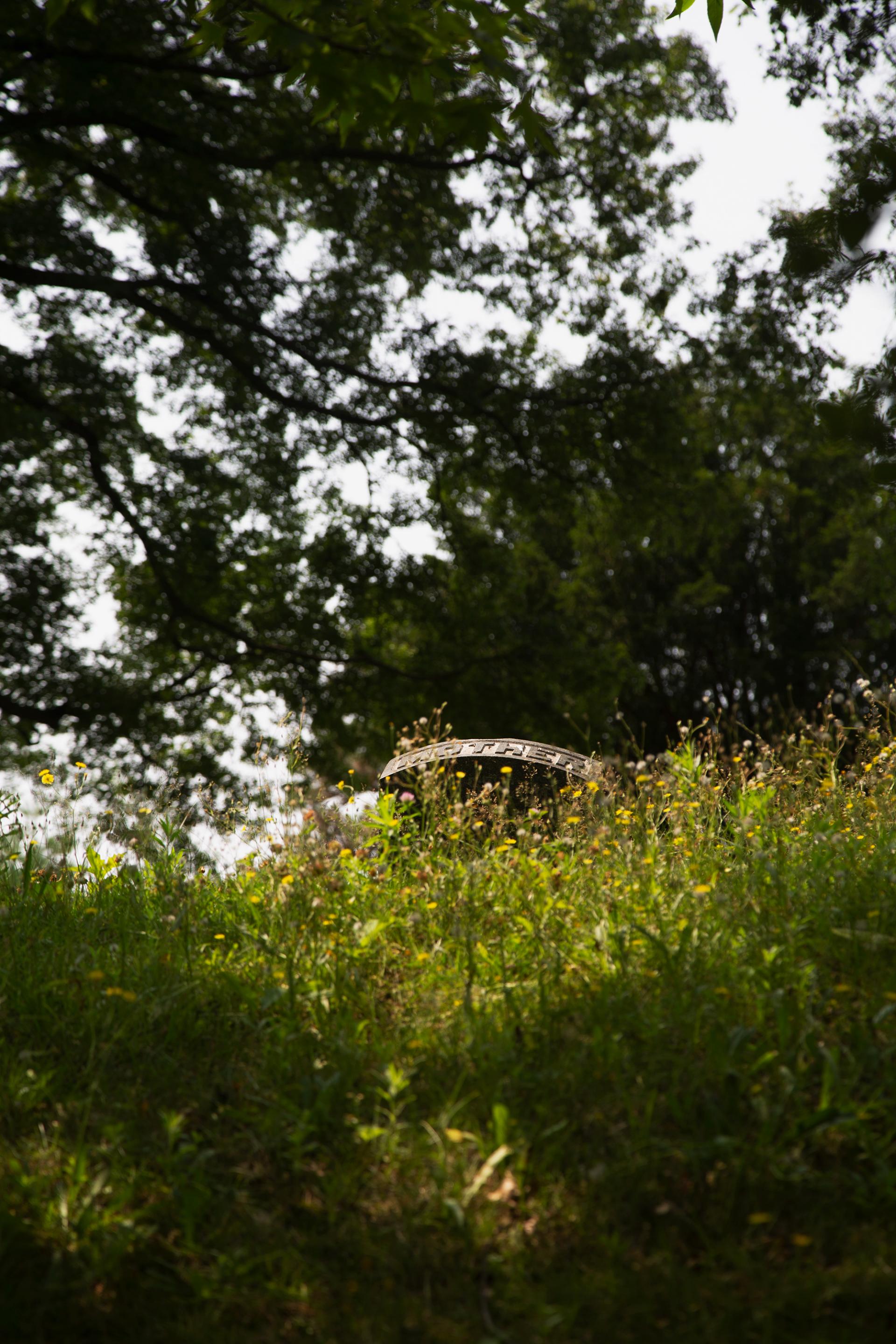 Color photograph of the very top of a gravemarker, surrounded by warm sunlight and summer grass and flowers. The top of the stone says "MOTHER". 