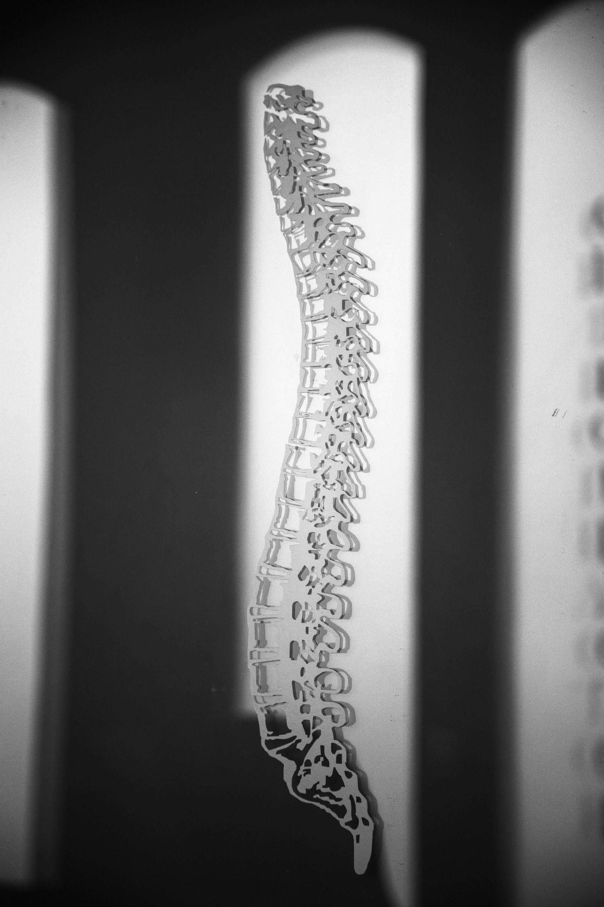 A black and white photograph of a graphic of a human spine, encased in an arch-topped shape. 