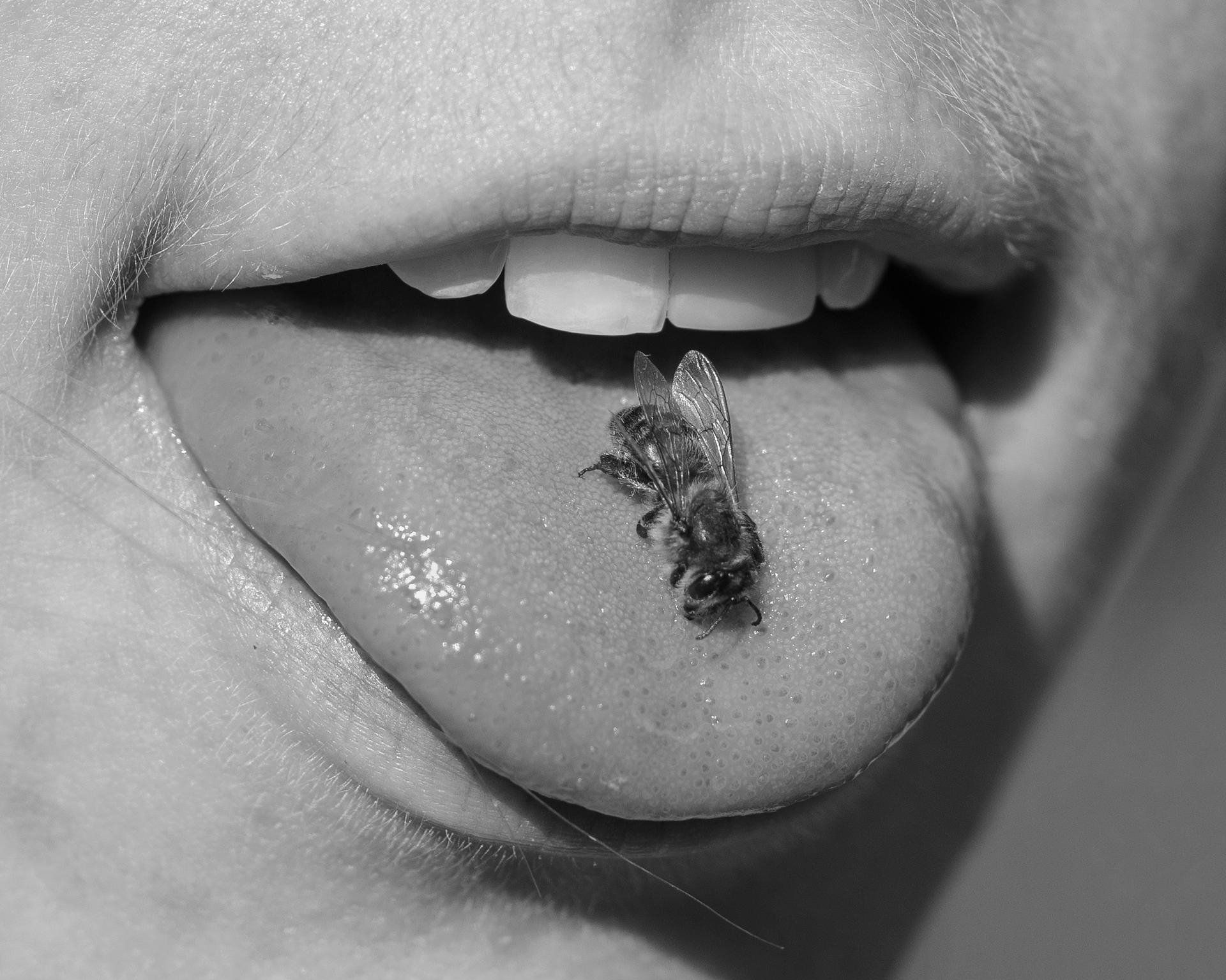 Untitled (Bee in Mouth), 2020