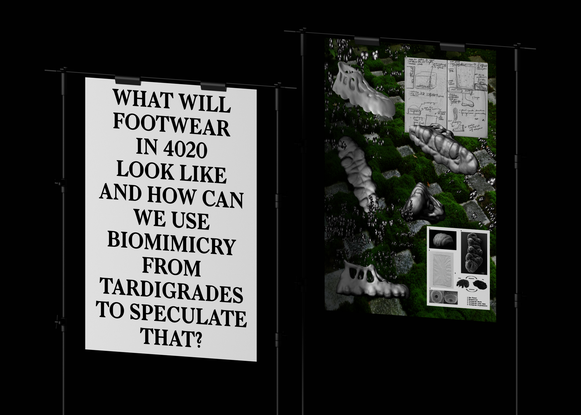 Posters about the future of footwear with the text 'What will footwear in 4020 look like and how can we use biomimicry from Tardigrades to speculate that?'