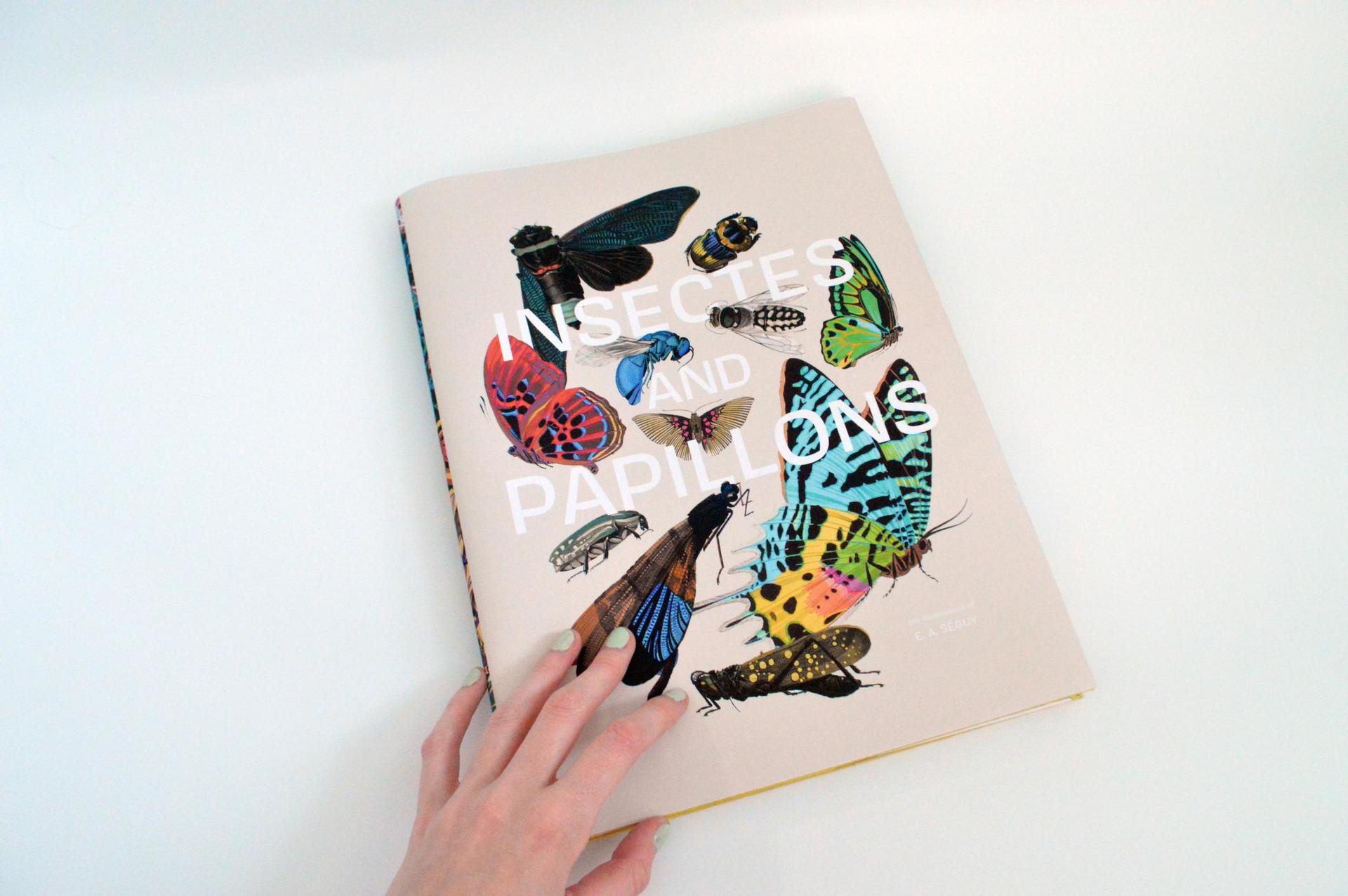 Hand holding the book 'Insectes adn Papillons'