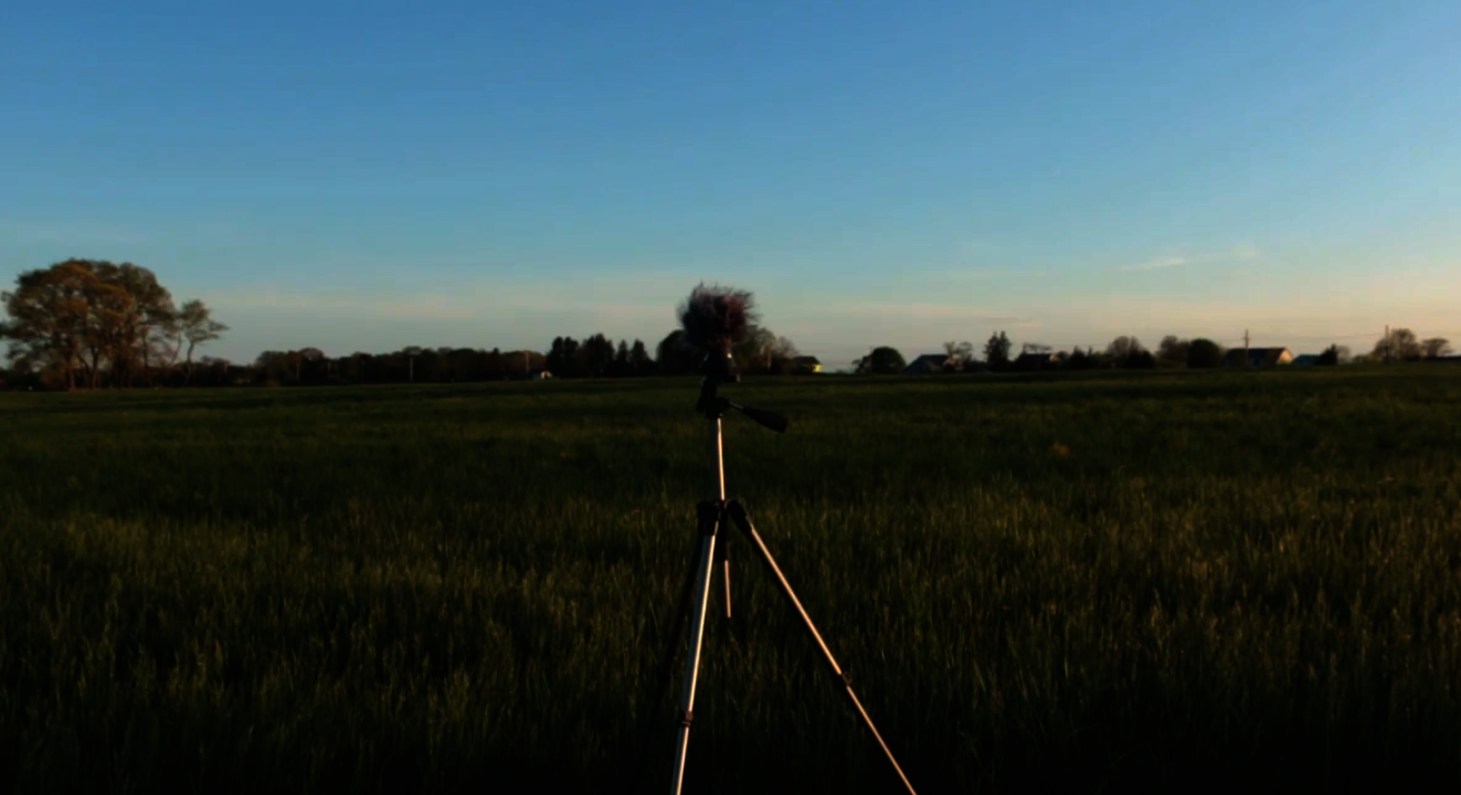 Still from video by Zack Davies