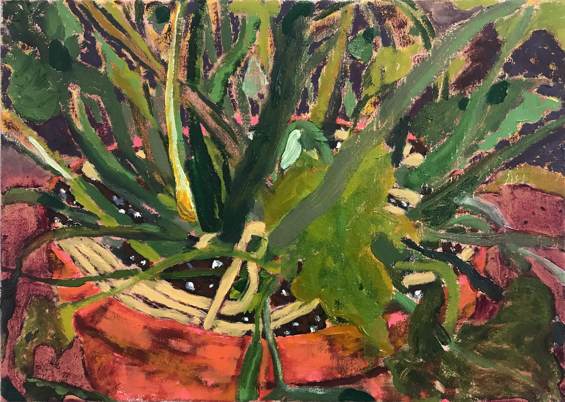 painting of the base of a houseplant