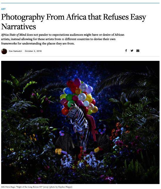 a zebra with a bunch of balloons in a lush clearing