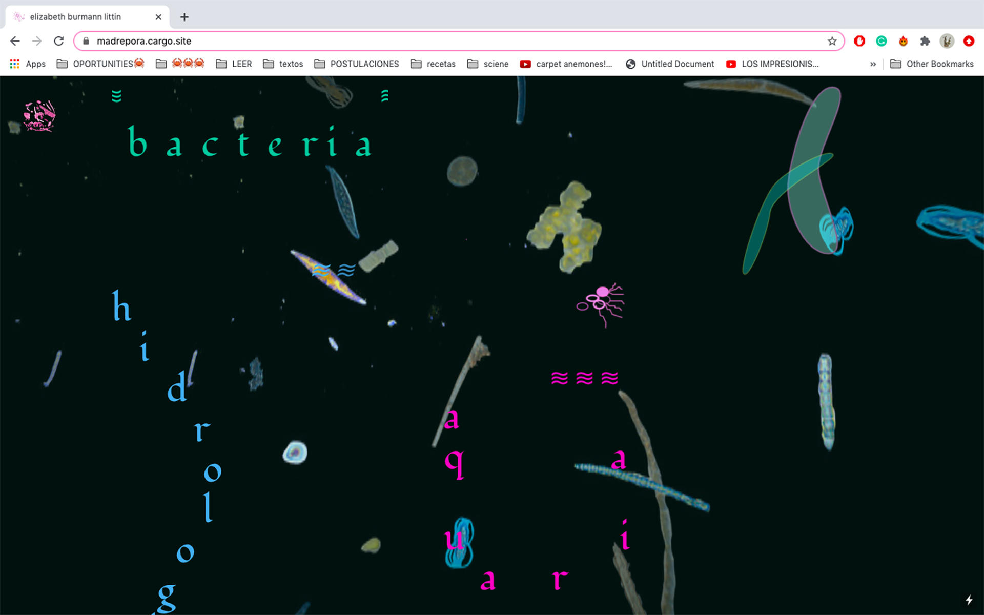 screenshot of a web browser, at a site with a black background and floating colorful shapes. The word "bacteria" is visible