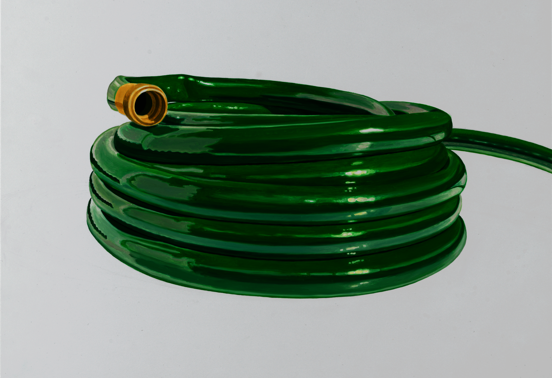 Oil painting of a coiled green garden hose  on a white background