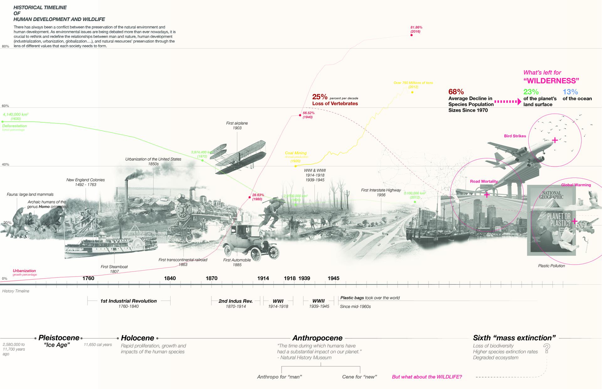 timeline