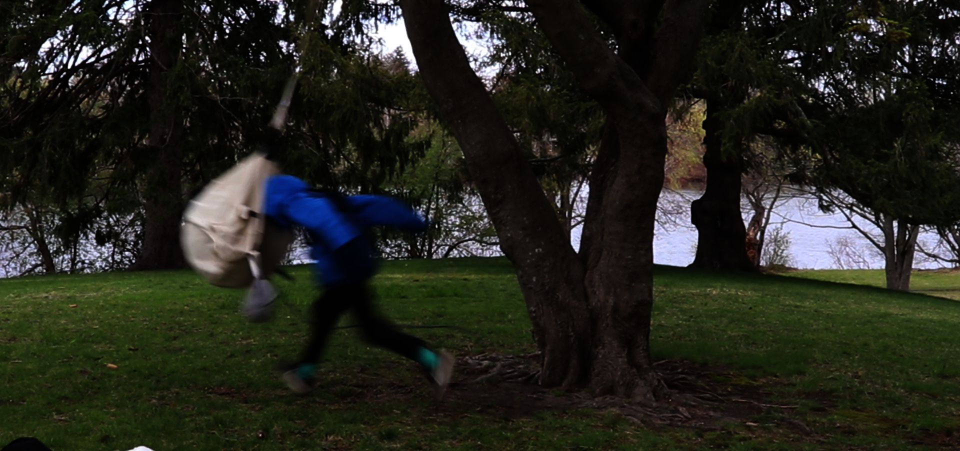 A kid headbutts a toy suspended from a tree.