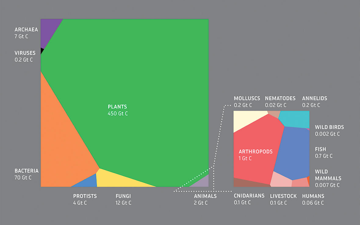 Global Biomass diagram