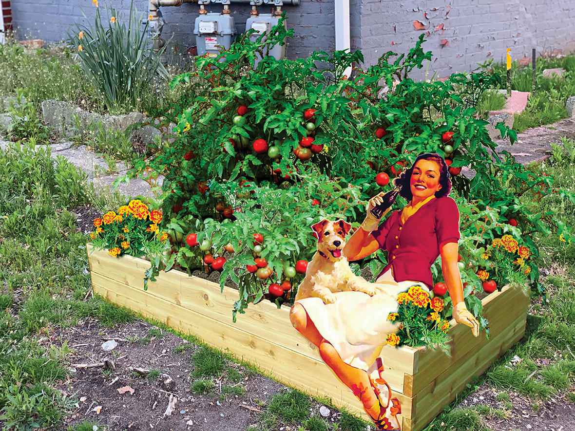 Collage of a raised bed with tomatoes and a woman with a dog.