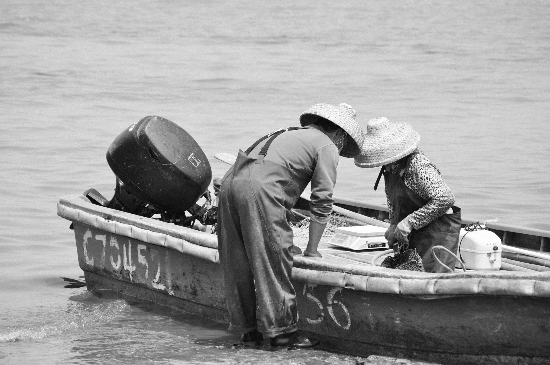 local oyster farmer_2