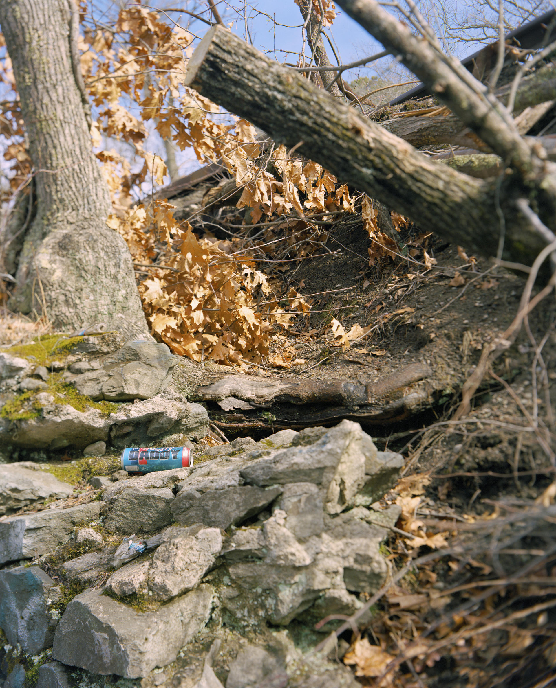 A beer can with the label "DADDY" lays on a pile of rocks. 