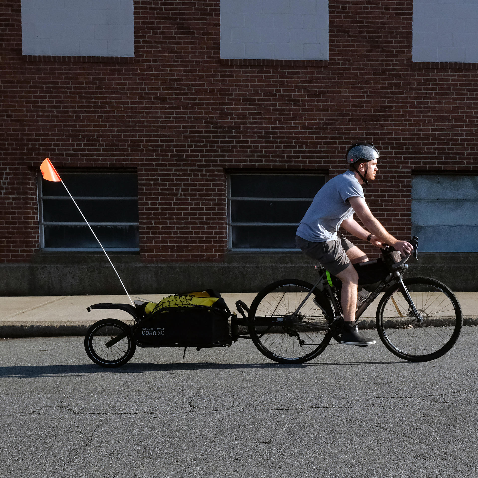 Photo of me riding my bicycle, towing my trailer loaded with wood for the last piece of furniture for my thesis.