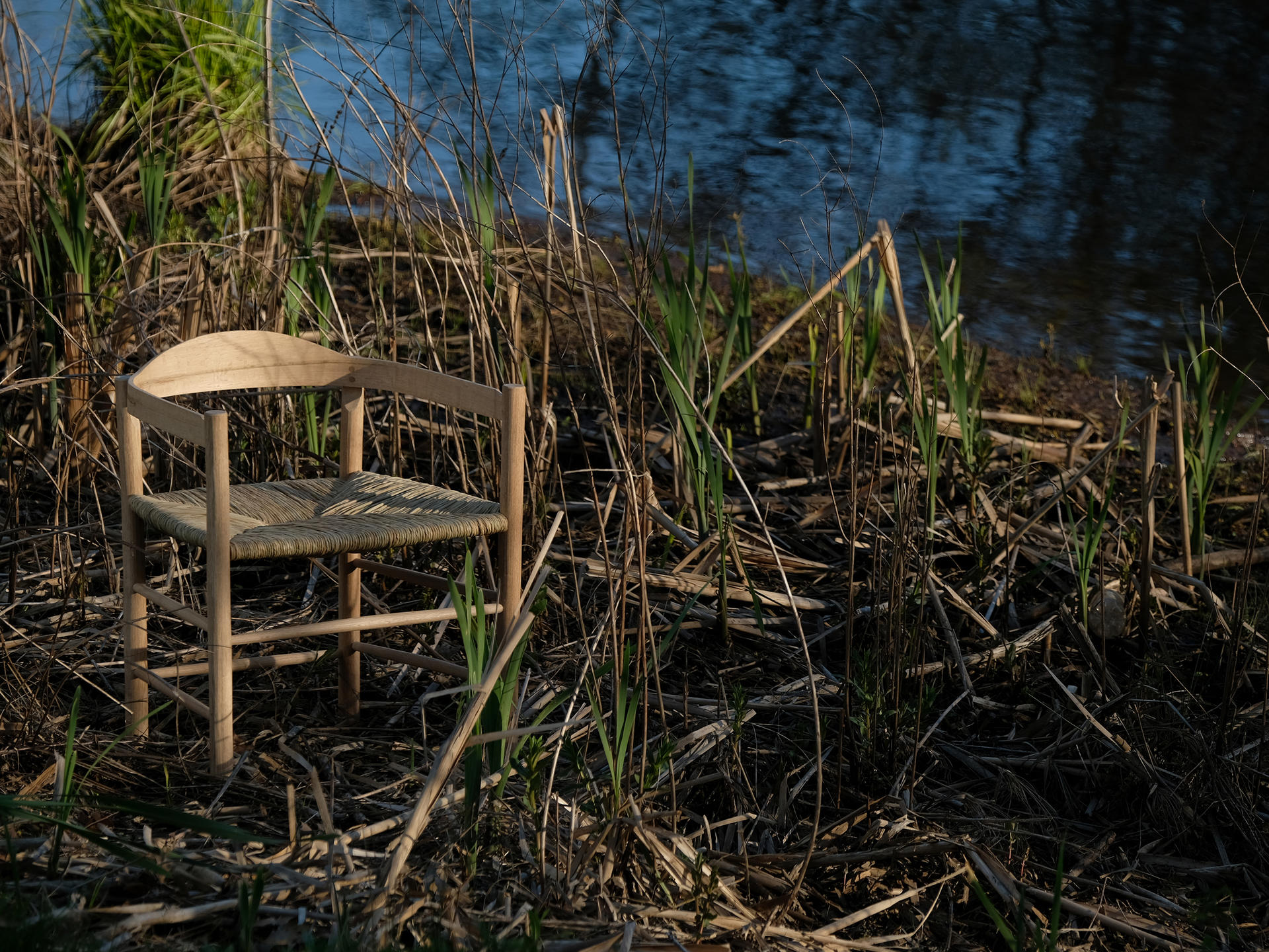 Image of the Counting Calories chair on a bank of the Pawtuxet River where some of the cattails for its seat were harvest in autumn.