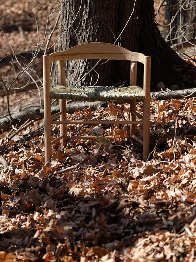 Image of the Counting Calories chair amongst fallen leaves of a mighty Oak Tree.