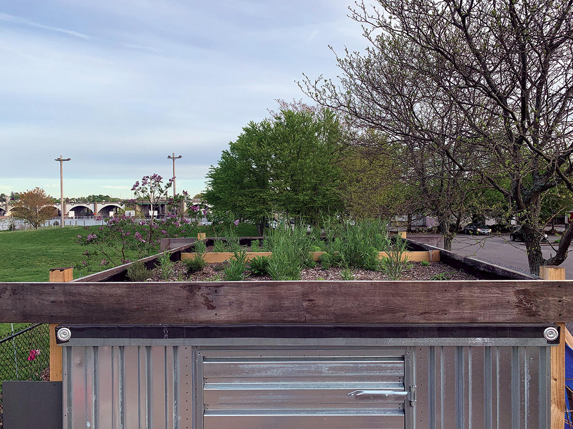 green roof photo