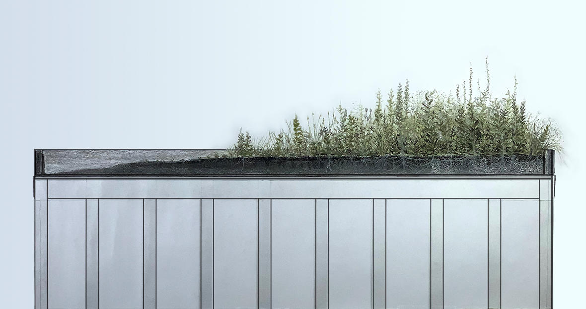 Green roof, illustration