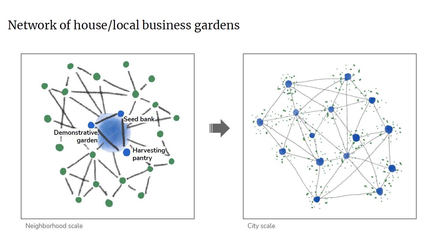 Proposed network: demostrative garden, seed bank and harvest pantry