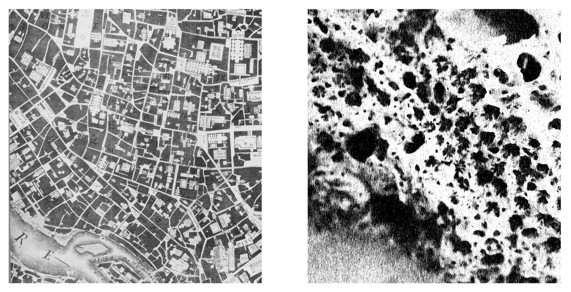 A mapping of the coral is compared to the Nolli map of Rome as a mass/void and static/kinetic relationship