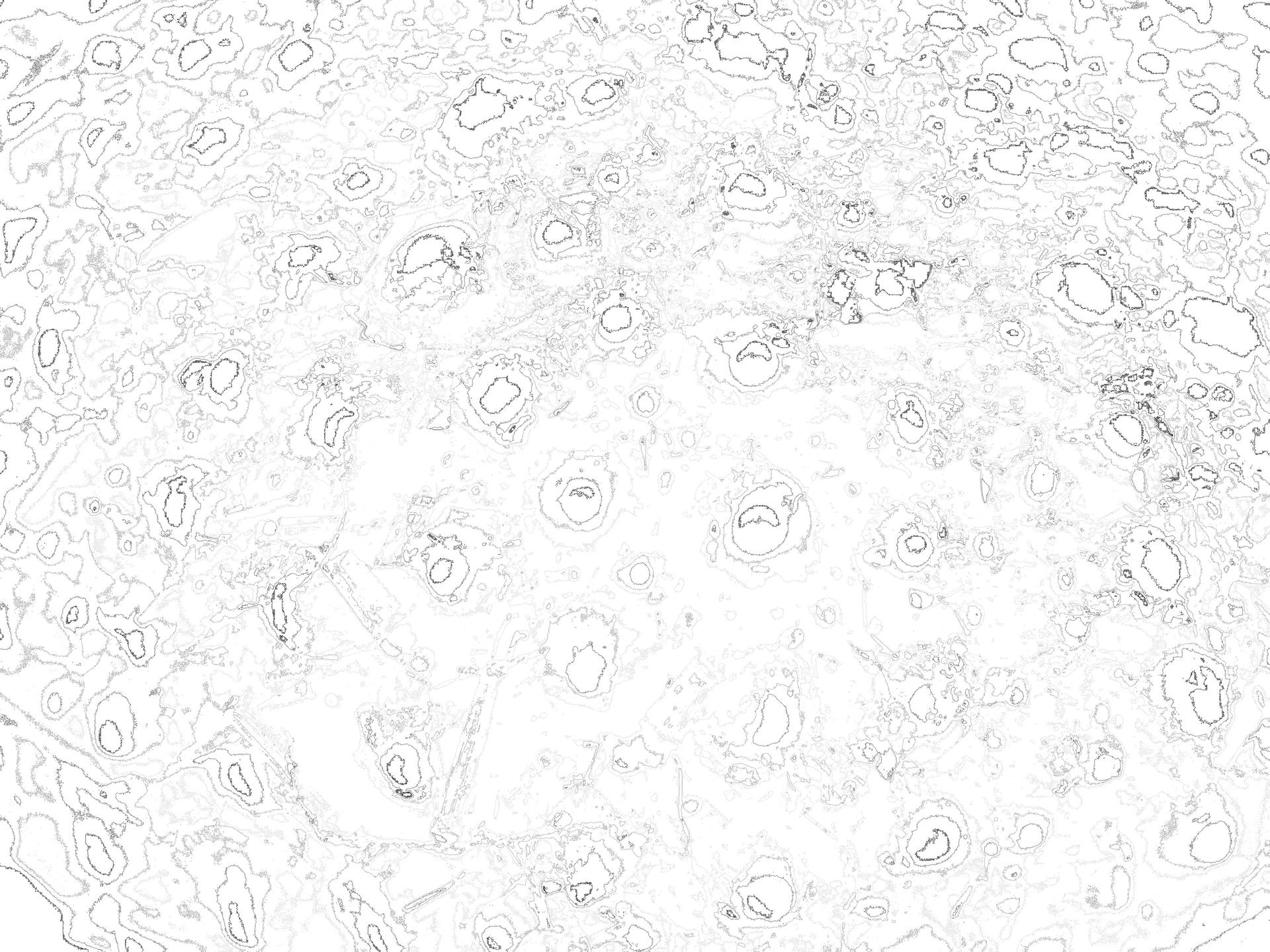 Sea urchin topography derived from exoskeleton 