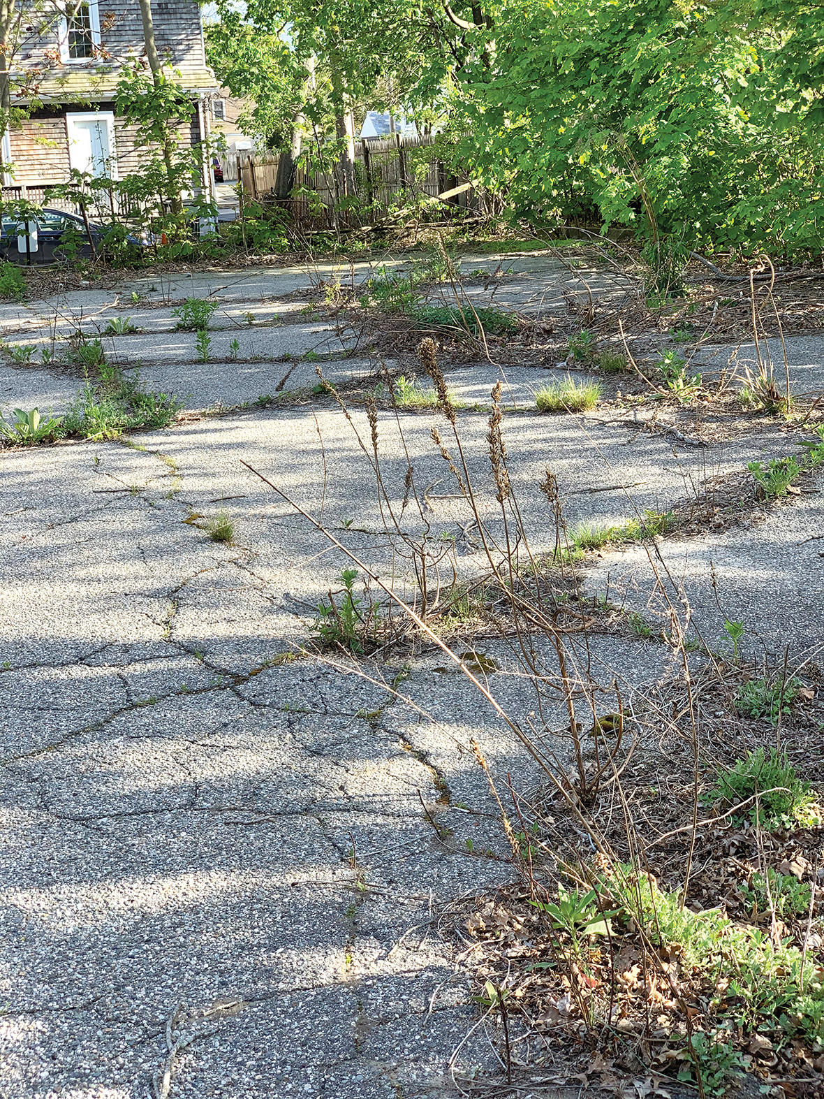 parking lot with pavement cracks