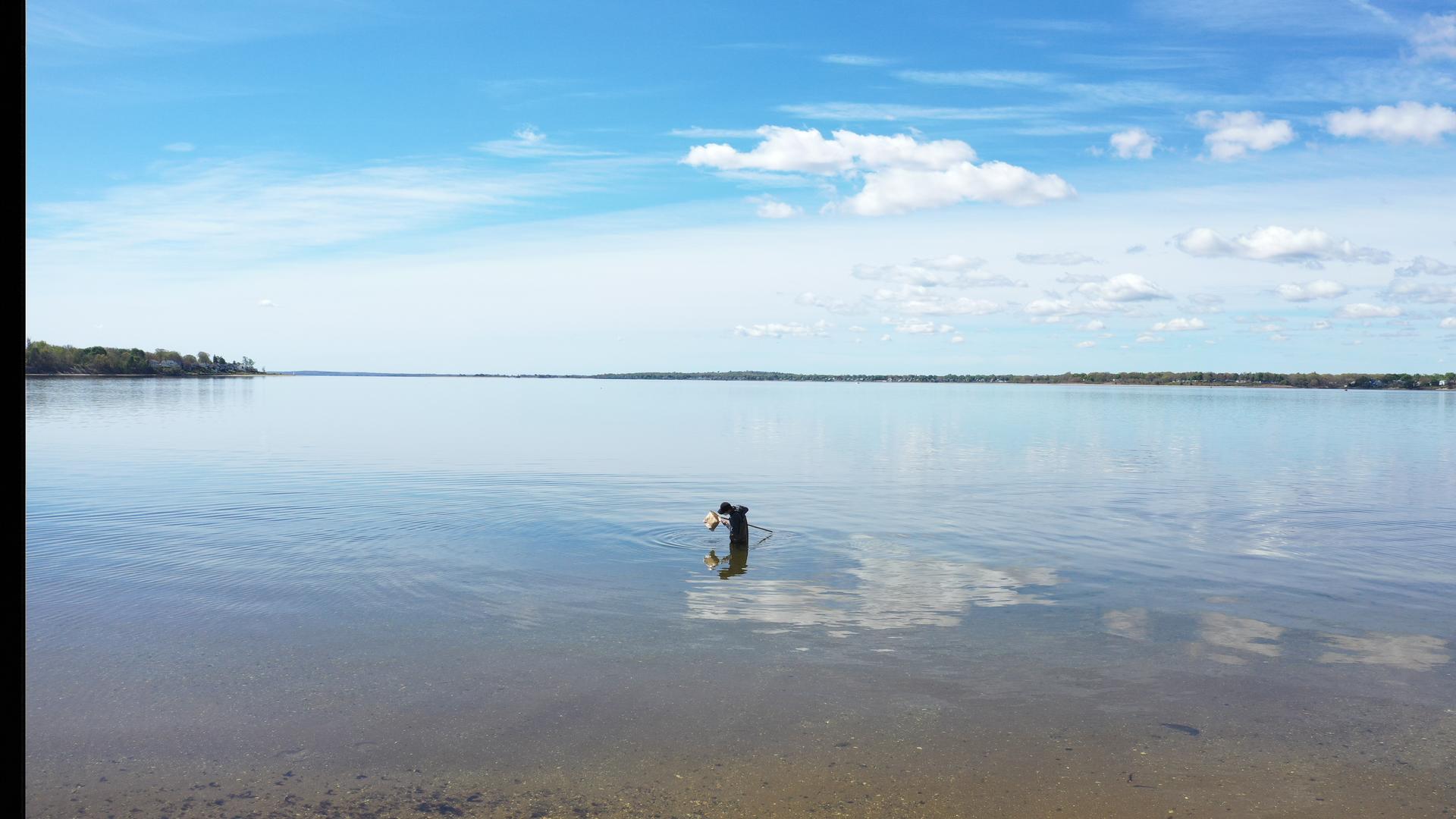 With blue sky and white clouds I tried to catch hermit crabs in the sea