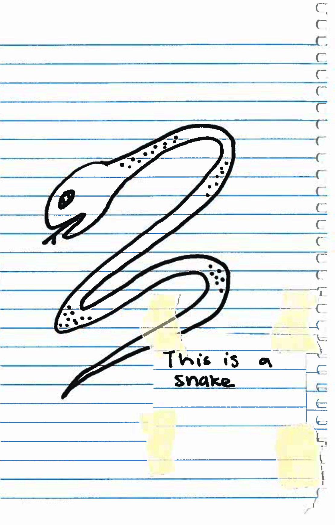 This is a snake