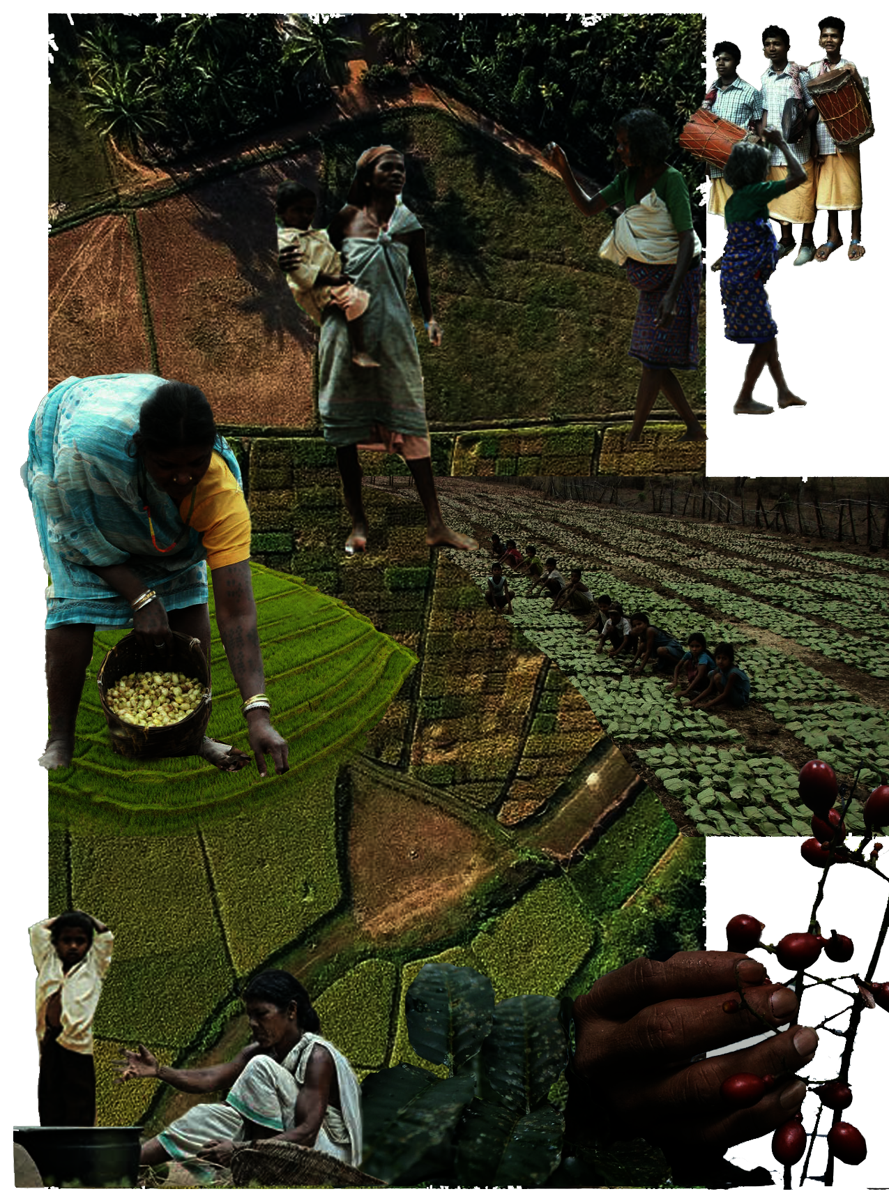 A collage of various Traditional Ecological Practices