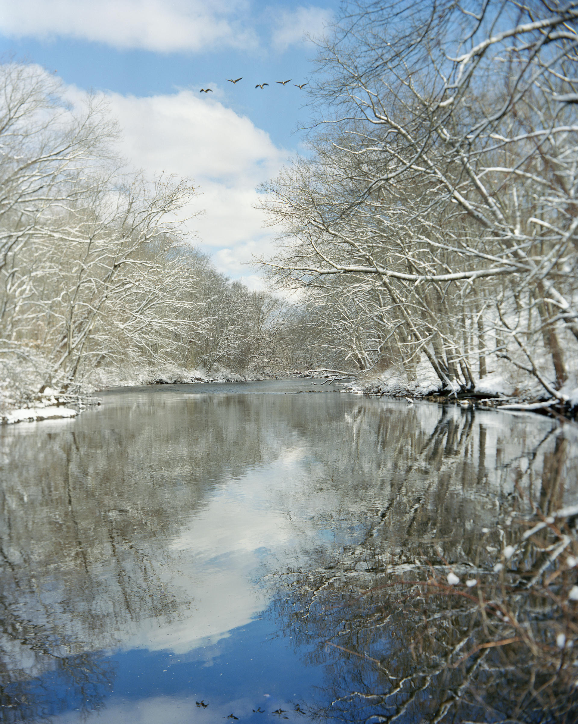 snowy river 