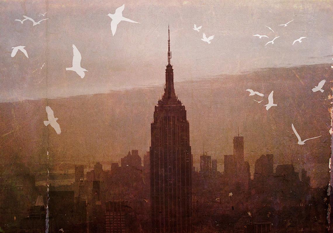 Vintage Photo: Birds over Manhattan produced by maybesparrowphoto