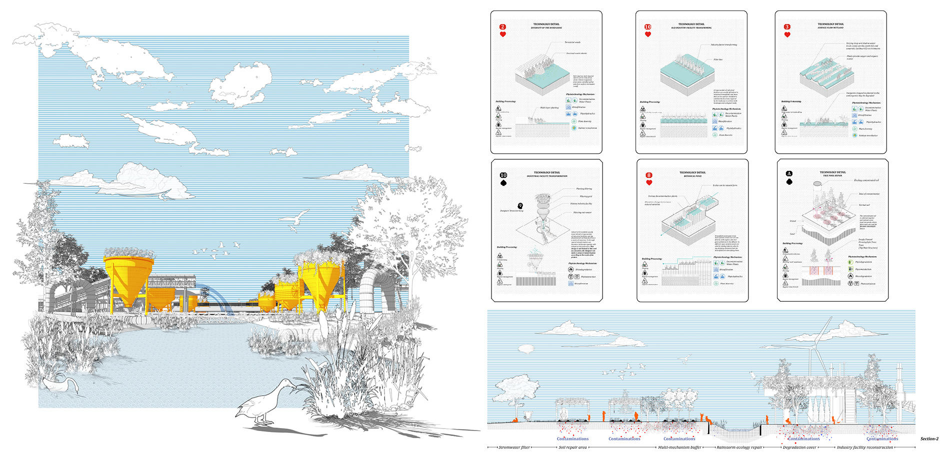 Rendering & Section