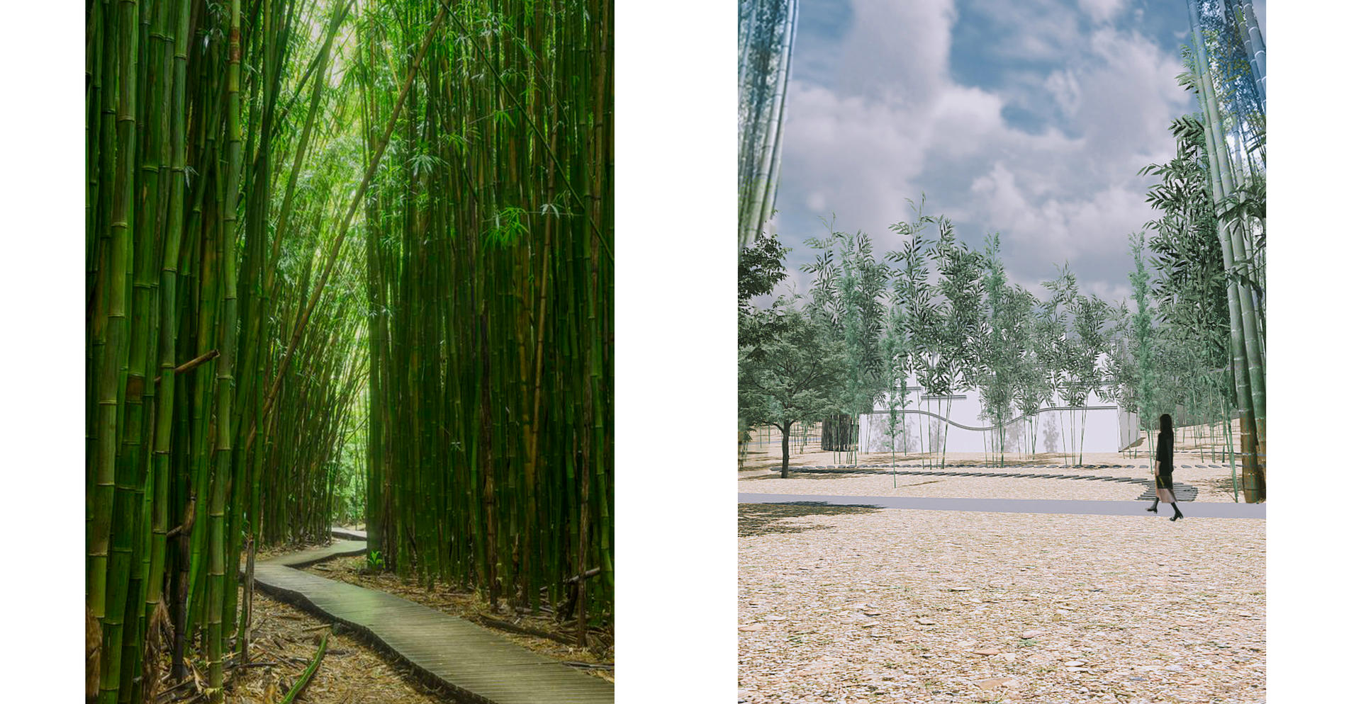 bamboo forest and design building