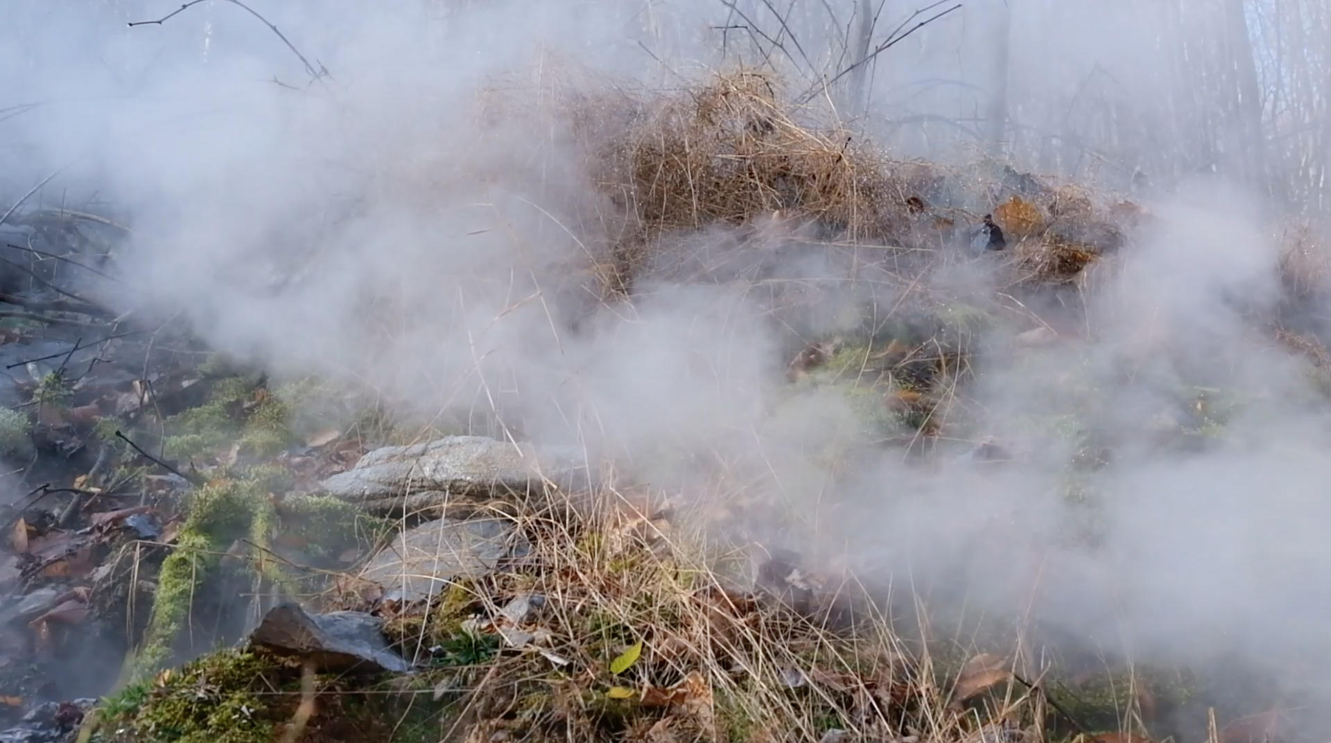 steam from the borehole