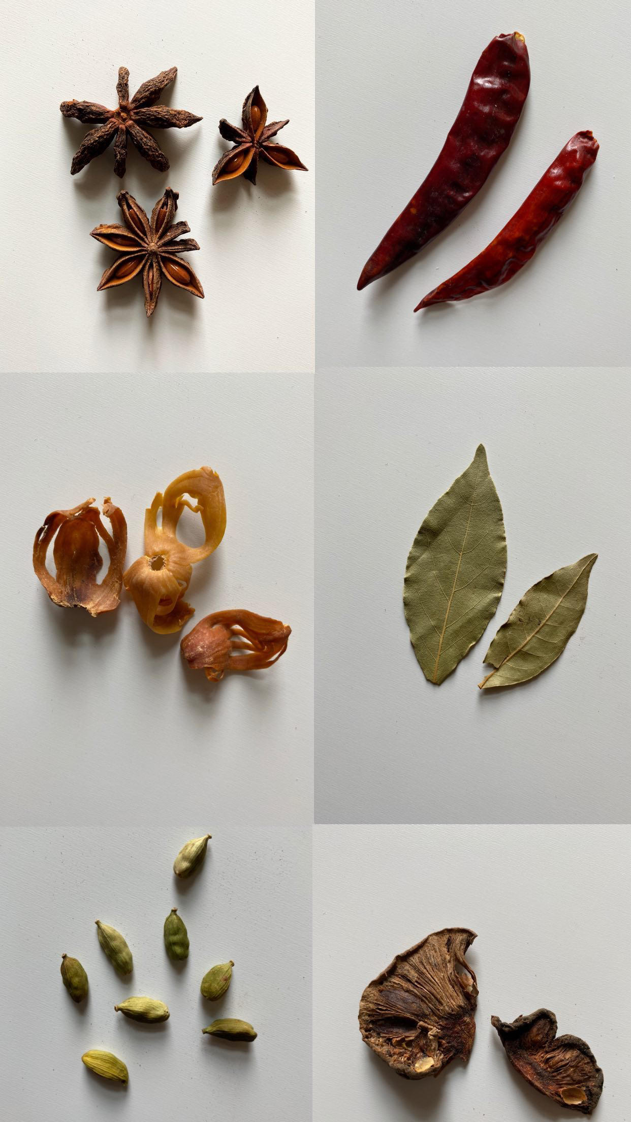 Images of spices against a white background 
