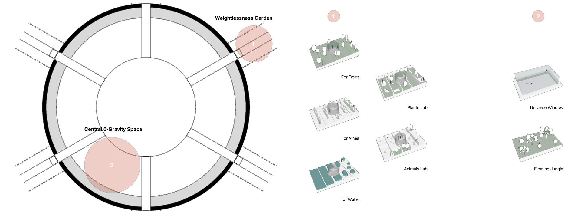 Transects and central area design forms