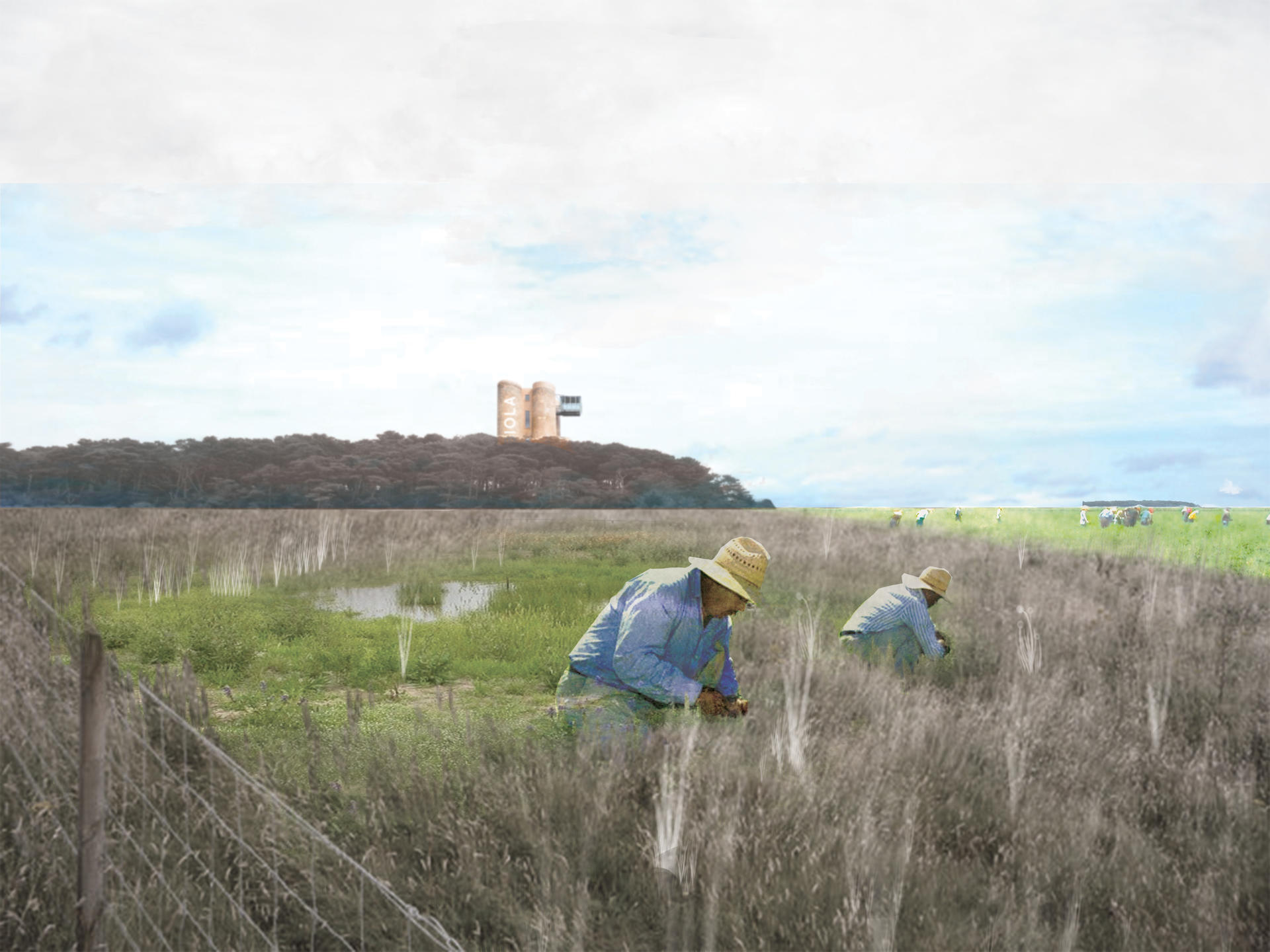 Rendering of workers in field