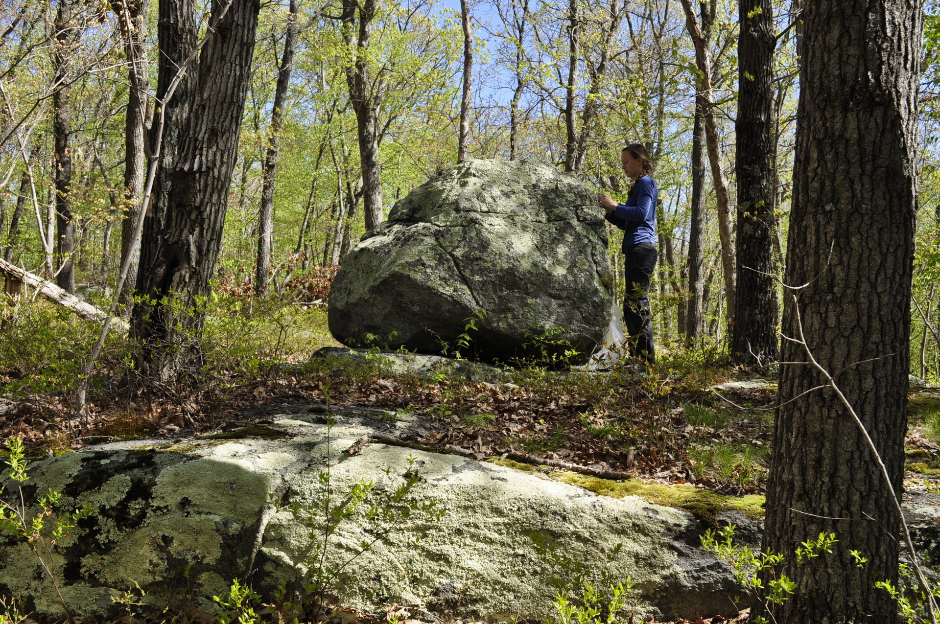 site at Lincoln Woods field work at boulder